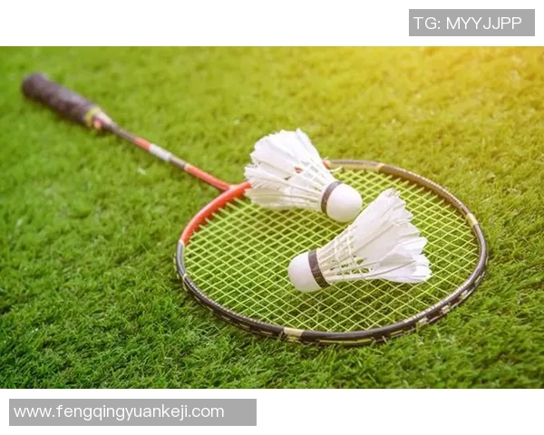 重庆羽毛球队近期状态深度对比分析及未来发展趋势探讨