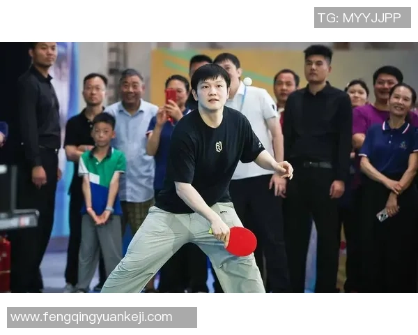 乒乓球节奏排行榜揭晓杭州乒乓球队荣获第二名成就辉煌